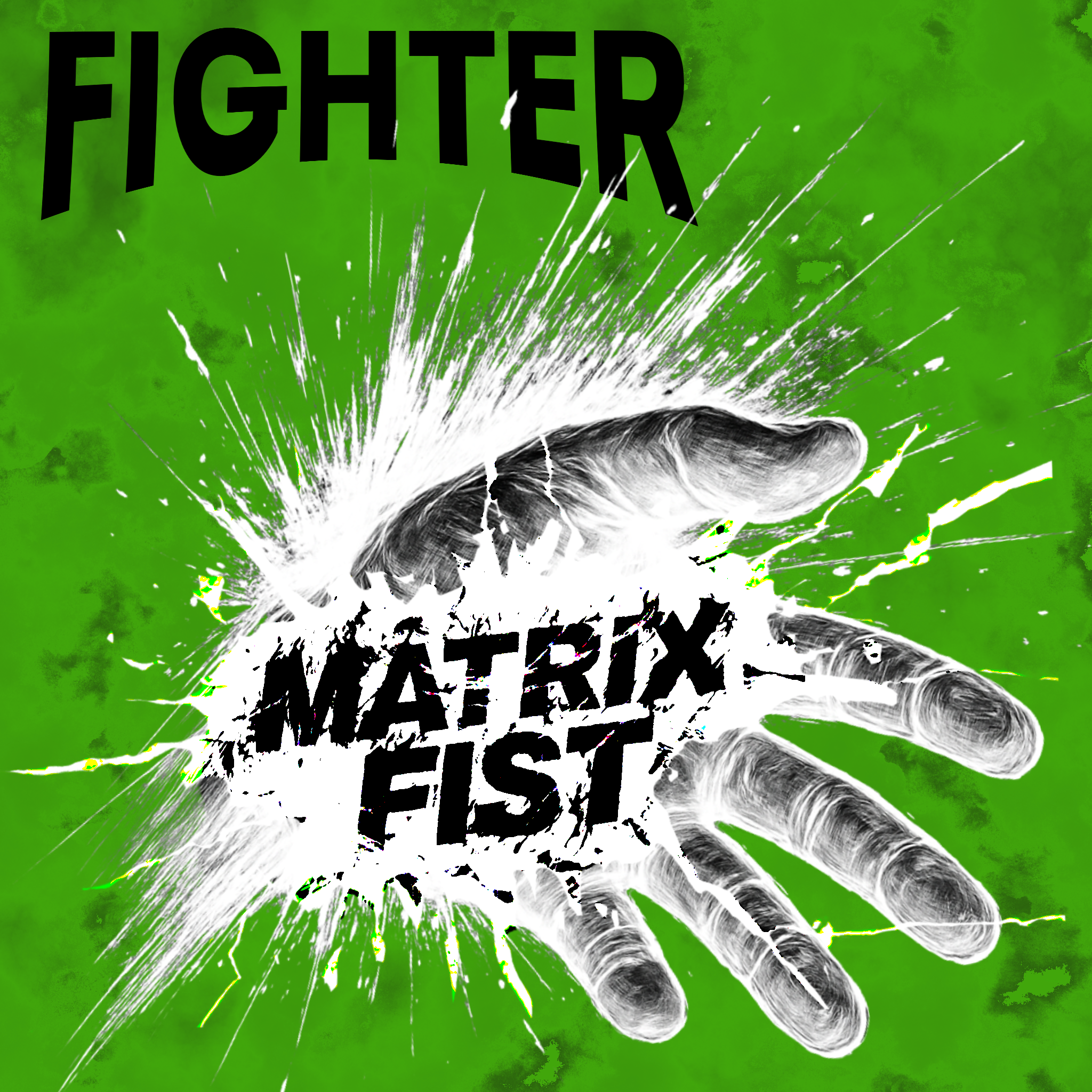 Fighter